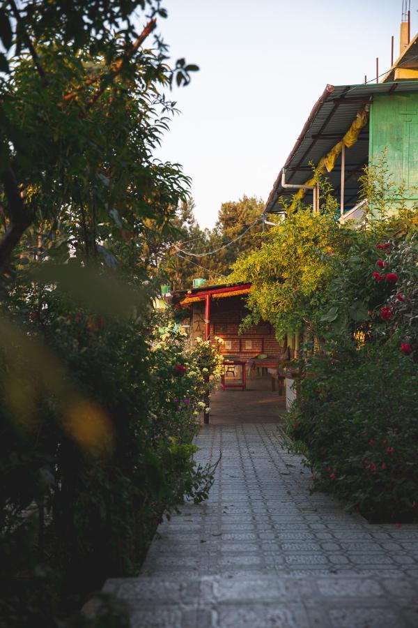 阿尔莫拉Jungal House公寓 外观 照片