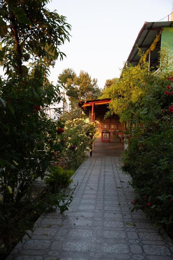 阿尔莫拉Jungal House公寓 外观 照片